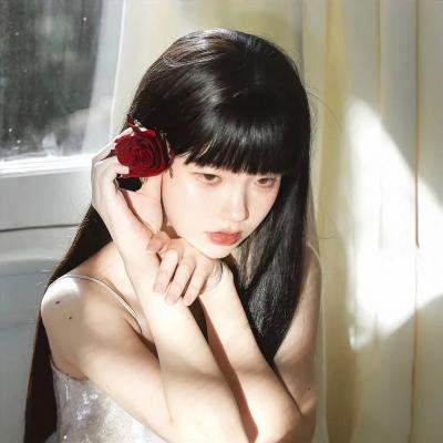 战略特勤组